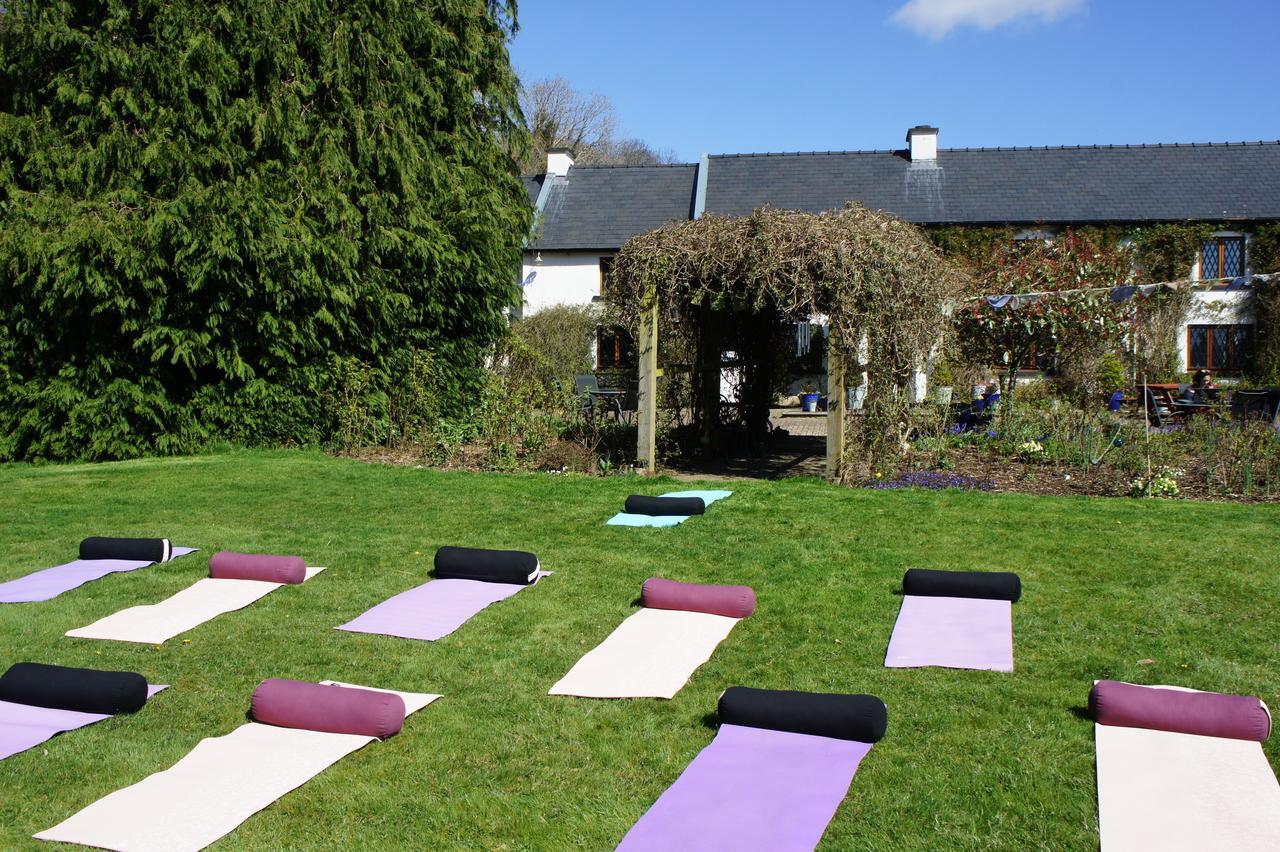 Creacon Wellness Retreat Hotel New Ross Kültér fotó